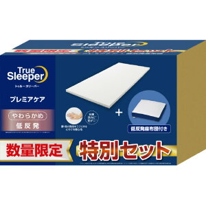 VbvWp TRSv~APA+ᔽzcZbgWS gD[X[p[ WSTRCSZA [WSTRCSZA]