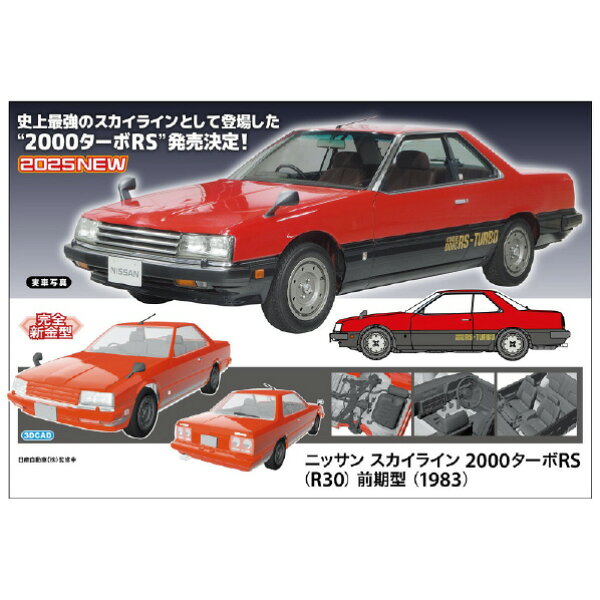 ハセガワ 1/24 ニッサン スカイライン 2000ターボRS (R30) 前期型 (1983) HC65ｽｶｲﾗｲﾝ2000ﾀ-ﾎﾞRSｾﾞﾝｷ [HC65ｽｶｲﾗｲﾝ2000ﾀ-ﾎﾞRSｾﾞﾝｷ]