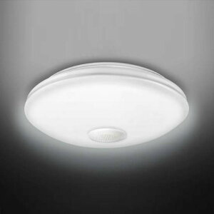 y11/1 Gg[ōőP5{z LEDV[OCg Xs[J[t NLEH08018E-SDLD [NLEH08018ESDLD]