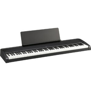 RO dqsAm BLACK B2+ BLACK [B2PLUSBK]