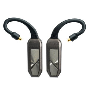 iFi audio GO pod MAX IFI-GO-PODMAX [IFIGOPODMAX]