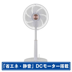 �������� �t�������R�� ���r���ODC��@ �z���C�g GF-DC326FR-W [GFDC326FRW]�yJSPM�z