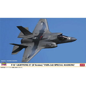 nZK 1/72 F-35 CgjOII (B^)gVMFA-242 XyV}[LOh 02499F35CgjO2VMFA242SP [02499F35CgjO2VMFA242SP]