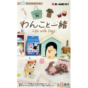 [g 񂱂ƈꏏ 8BOX ECRgCcV [ECRgCcV]