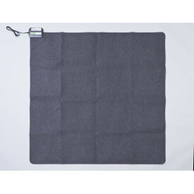 YAMAZEN 空気をキレイにするホットカーペット SUT-202 [SUT202]【RNH】