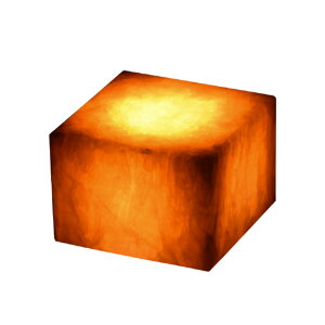 \@[CO drCeACg 嗝΃V[Y AC{[ LT9211S1 [LT9211S1]