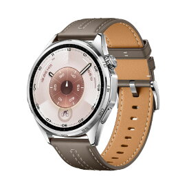 HUAWEI WATCH GT6 46mm /Grey ATM-B19-GY [ATMB19GY]