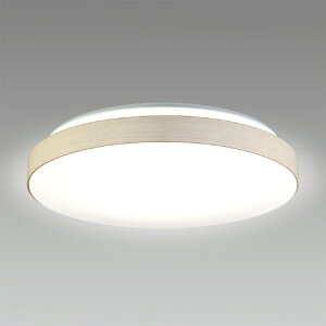 HotaluX LED�V�[�����O���C�g HLDC12435SG [HLDC12435SG]