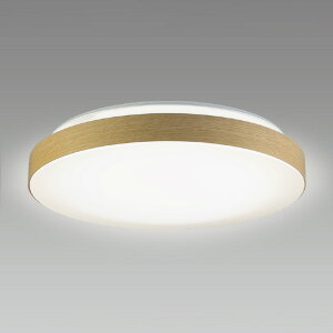 HotaluX LED�V�[�����O���C�g HLDC08432SG [HLDC08432SG]