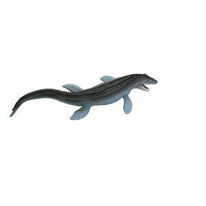 nslbg 勰(TTEX) TTEX _CLEEW_CTTEX [_CLEEW_CTTEX]