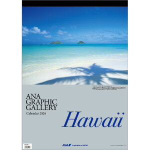 S󏤎 J_[ 2026N ANAuOtBbNM[ nCv 2026CL1144nC [2026CL1144nC]