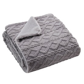 広電 電気掛敷き毛布 グレイ／無地 CWB551GHP [CWB551GHP]