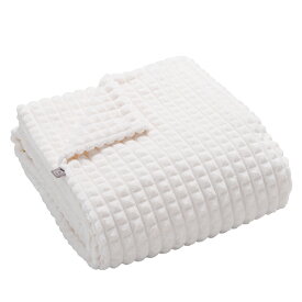 広電 電気掛敷き毛布 オフホワイト／無地 CWB551GWM [CWB551GWM]