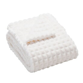 広電 電気敷毛布 オフホワイト／無地 CWA401GWM [CWA401GWM]