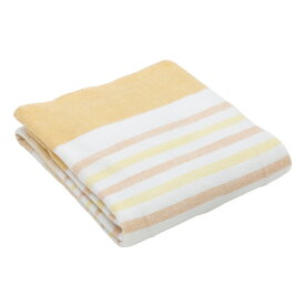 広電 電気敷毛布 オリジナル オレンジ／ボーダー EDS401HDB [EDS401HDB]