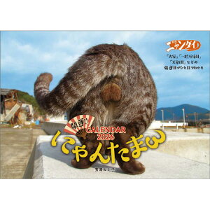 nS J_[ 2026NŁ@ʂ܂łɍsIE̐i 2026CL395j^} [2026CL395j^}]