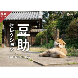 nS J_[ 2026NŁ@ʂ܂łɍsIE̐i { 2026CL396L_C}XPZNV [2026CL396L_C}XPZNV]