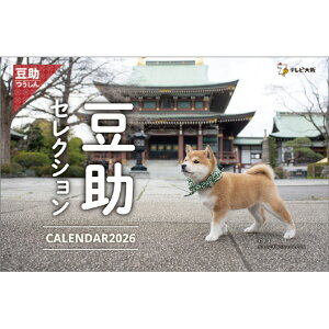 nS J_[ 2026NŁ@鐴 Ɖẽw 2026CL397^NWEL_C}XPZ [2026CL397^NWEL_C}XPZ]