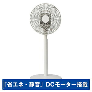 �R�C�Y�~ ���r���O��@ �z���C�g KLF30263W [KLF30263W]�yRNH�z