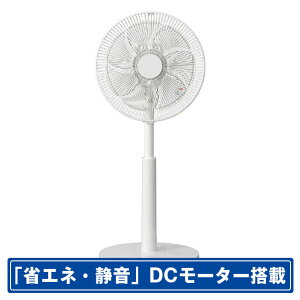 �R�C�Y�~ ���r���O��@ �z���C�g KLF30262W [KLF30262W]�yRNH�z