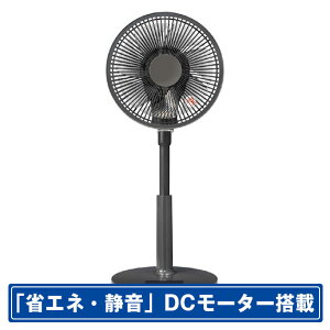 �R�C�Y�~ ���r���O��@ �`���R�[���O���[ KLF2561H [KLF2561H]�yRNH�z