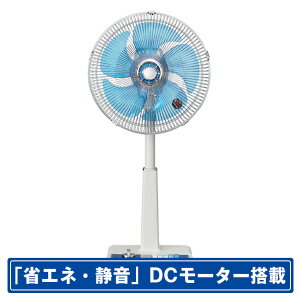 �R�C�Y�~ ���r���O��@ e angle select �u���[ KLF306HE6A [KLF306HE6A]�yRNH�z�ySPMP�z