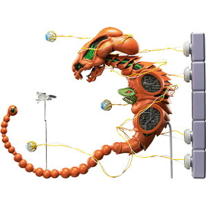 FREEing figmaSP �h�u�P���h�v�X�uR-TYPE�v FIGMASP1113�h�u�P���h�v�X [FIGMASP1113�h�u�P���h�v�X]