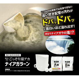 ピュアソン 風呂釜用洗浄剤ナイアガラーン 2回分セット ナイアガラ-ン2カイブン [ナイアガラ-ン2カイブン]
