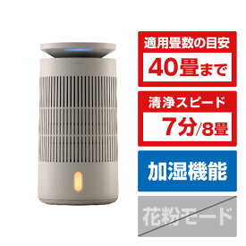 ブルーエア 2-in-1 Pro 加湿空気清浄機 DH5i 113826 [113826]【RNH】【JLMP】