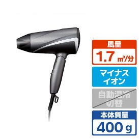 テスコム プロテクトイオン ヘアドライヤー グレー TD360AH [TD360AH]【RNH】【JSPM】