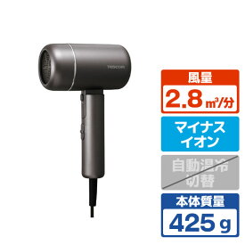 テスコム プロテクトイオン ヘアドライヤー グレー TD462A-H [TD462AH]【RNH】【JSPM】