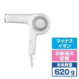 テスコム プロフェッショナルプロテクトイオンヘアドライヤー ホワイトアッシュ NIB500B-W [NIB500BW]【RNH】【JSPM】