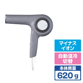 テスコム プロフェッショナルプロテクトイオンヘアドライヤー スモーキーグレー NIB500B-H [NIB500BH]【RNH】【JSPM】