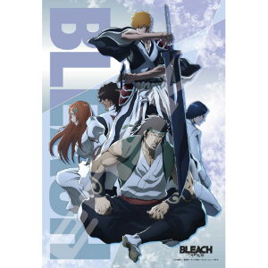 �G���X�J�C 300-3162 BLEACH ��N����� -�����- AT3003162BLEACH�\�E�R�N�^�� [AT3003162BLEACH�\�E�R�N�^��]