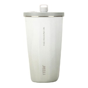 KOTANI�����H�� �X�g���[�^���u���[ 600ml TYESO �V���C���O���[ KT01-060-SGY [KT01060SGY]�ySPMS�z