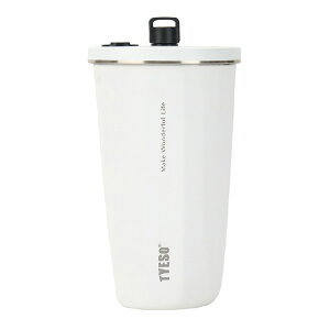 KOTANI�����H�� �X�g���[�^���u���[ 600ml TYESO �X�m�[�z���C�g KT01-060-SWH [KT01060SWH]�ySPMS�z