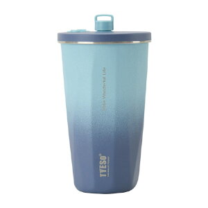 KOTANI�����H�� �X�g���[�^���u���[ 600ml TYESO �O���f�[�V�����u���[ KT01-01007-255 [KT0101007255]�ySPMS�z