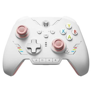 BIGBIGWON ���C�����X&�L���Q�[�~���O�R���g���[���[ �s���N RAINBOW 2 SE PINK [RAINBOW2SEPINK]