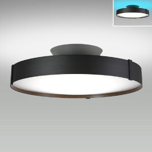HotaluX LED�V�[�����O���C�g HLDC12A445KSG [HLDC12A445KSG]