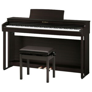 �͍��y�퐻�쏊 �d�q�s�A�m CX���C�� Colorful Experience ���[�Y�E�b�h���d�グ CX302-R [CX302R]