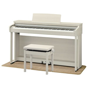 �͍��y�퐻�쏊 �d�q�s�A�m e angle select CX���C�� Colorful Experience �z���C�g���[�v�����d�グ CX302-AE5 [CX302AE5]