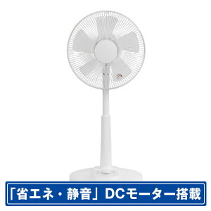 �d���� �_�C������DC���r���O��@ ZEPEAL �z���C�g ZFL-D2C-DM [ZFLD2CDM]�yAPRP�z