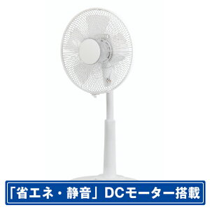 �d���� �_�C������DC���r���O��@ ZEPEAL �z���C�g ZFL-D2C-DM [ZFLD2CDM]