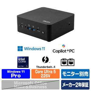 MSI Cubi NUC AI+ 2MG-061JP Cubi NUC AI+ 2MG CUBI-NUC-AI+2MG-061JP [CUBINUCAI2MG061JP]