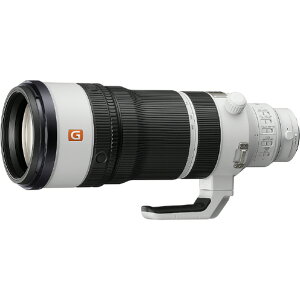 SONY E�}�E���g�p�����YSEL100400MC SEL100400MC [SEL100400MC]