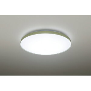 �p�i�\�j�b�N LED�V�[�����O���C�g �J���[�t���[���V���[�Y�@�A�[�X�J���[ HH-CN0847A-G [HHCN0847AG]