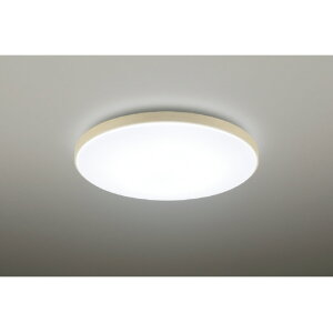 �p�i�\�j�b�N LED�V�[�����O���C�g �J���[�t���[���V���[�Y�@�E�b�f�B�O���C�� HH-CN0848A-M [HHCN0848AM]