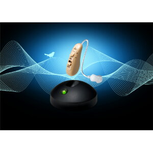 �V���b�v�W���p�� �y����q�A�����O�������^�⒮��(�E���p) �x�[�W�� RAHKBG1 [RAHKBG1]