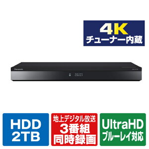 pi\jbN 2TB HDD/4K`[i[u[CR[_[ 4KDIGA DMR-4T203 [DMR4T203]yRNHz