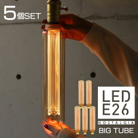 【5個セット】【ノスタルジアBIGチューブ】エジソン電球 大きいLED電球 エジソンバルブLED E26 ビッグチューブゴールド 筒型 太い 長い レトロ ノスタルジック 裸電球 調光器対応